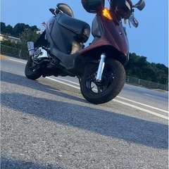 v125g