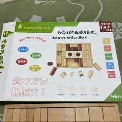 知育玩具　tanoshimu 積み木　46ピース　ブナ　木製　無着色の画像