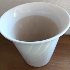 ① 陶器鉢 植木鉢 胡蝶蘭鉢 美品の画像