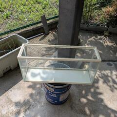 メダカやウーパールーパーに　水槽　60cmスリム