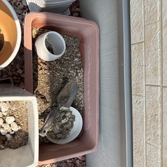 花瓶などの画像
