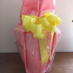 ③ 陶器鉢 植木鉢 胡蝶蘭鉢 美品の画像