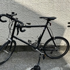 GIOS FELUCA