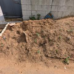 土の画像