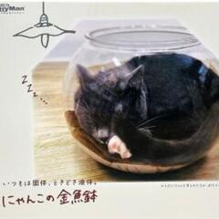 にゃんこの金魚鉢の画像