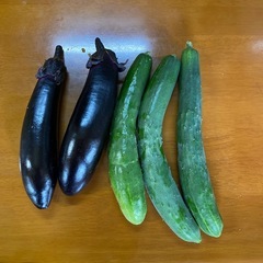 きゅうり、なす