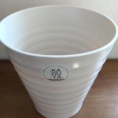 ④ 竹から生まれた植木鉢 胡蝶蘭鉢（KAGUYA製）豪華ラッピング付の画像