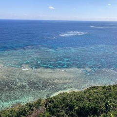 ドローン事業始めました🌈　※お試ししてみたい方、導入悩んでる方、ご相談ください！ - その他