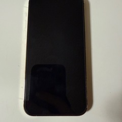 Iphone  12 Pro apple
