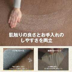 カーペット ラグ 絨毯 ラグマット 135×185cm(約1.5畳) 洗える 滑り止め 抗菌 防臭 防ダニ オールシーズン ホットカーペット対応 簡単に掃除 フランネル ブラック リプラクオールの画像