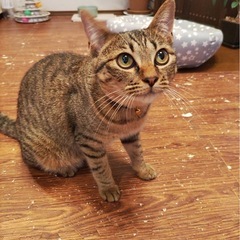 🐾動画付🐾人が大好き😘個人面会できます
