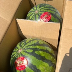 大玉さんぶスイカ🍉✨✨