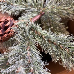 クリスマスツリー150cmの画像