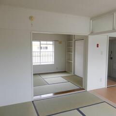 🌺🌺奈良県吉野郡 初期費用ゼロ 家賃42000円 生活保護可ペット相談可🌺🌺 - 吉野郡