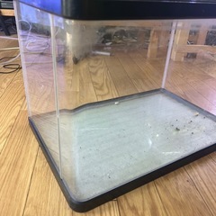 45cm前面ガラス曲げ水槽の画像