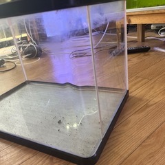 45cm前面ガラス曲げ水槽の画像