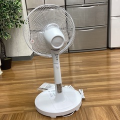 【取りに来られる方限定！！】TEKNOS 2024年製　扇風機の画像
