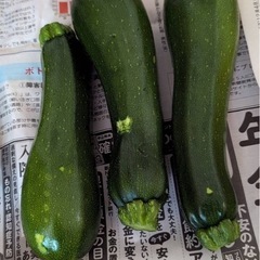 新鮮野菜はねだし