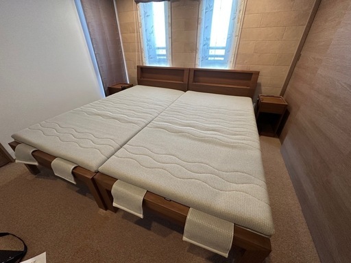 カリモク 電動シングルベッド