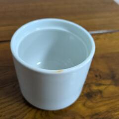 ミヤマ　食器　キントー　の画像