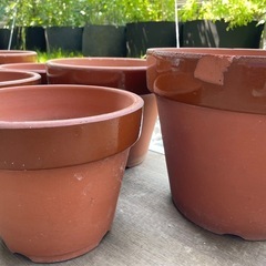 20%OFF‼︎
【植木鉢】丈夫な常滑焼き10鉢の画像