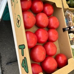 美瑛・函館育ち大玉とまと2箱づつ入荷しました🍅
