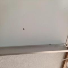 50ホワイトボードの画像