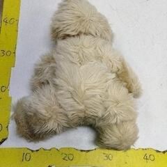 0620-153 ぬいぐるみの画像