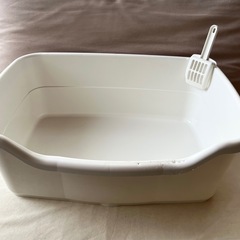 猫トイレの画像