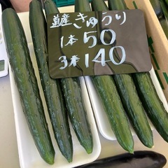 北海道産🥒きゅうり3本¥140✨