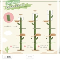 再度募集します。キャットタワー突っ張り型の画像