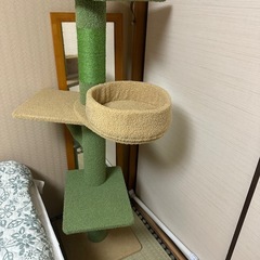 再度募集します。キャットタワー突っ張り型の画像