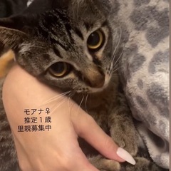 🐾動画付🐾可愛い女の子💖お問い合わせお待ちしてます