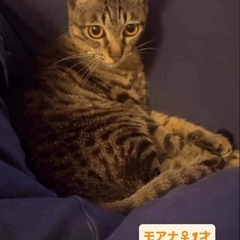 🐾動画付🐾可愛い女の子💖お問い合わせお待ちしてます