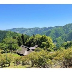 【浮気調査】檜原村