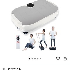 STEADY 振動マシン 定価12000円