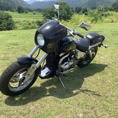 ⭐︎⭐︎スズキ・デスペラード400x ⭐︎⭐︎