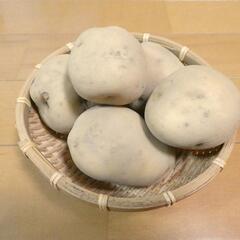 とれたてじゃがいも（きたあかり）500g（水口町産）