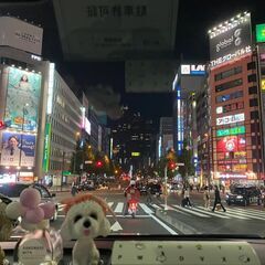 ✨友達、出会い、恋人✨