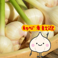 ＼日払い・1日OK！／未経験者大歓迎！ニンニクの収穫・運搬作業