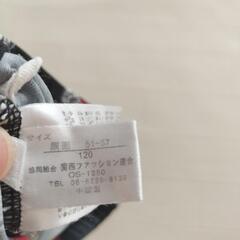 マックイーンの水着 120の画像