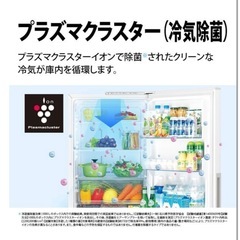 美品！ シャープ SHARP プラズマクラスター冷蔵庫（310L・右開き）2ドア　SJ-AK31F-Wの画像