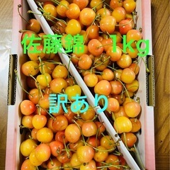 お取引成立しました！さくらんぼ　佐藤錦　訳あり　加工用　1kg 