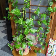 決まりました♥の画像