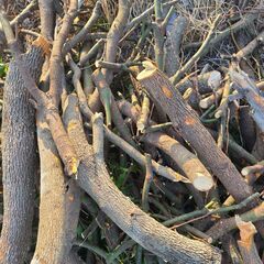 🌳薪無料で差し上げます🌳焚火、キャンプ、BBQ、広葉樹のまきです