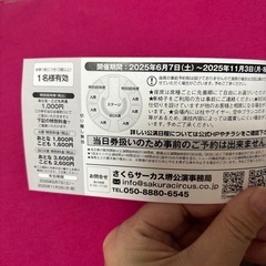 サーカスチケット2枚の画像