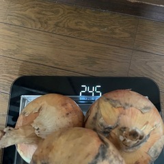 新玉ねぎ ひとつ辺り400ｇ超え(5個入り)の画像