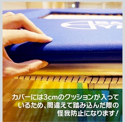ミニトランポリン　器械体操競技　バックヤード