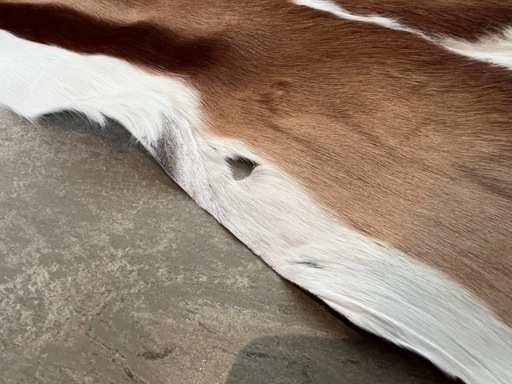 新品】南アフリカ産 天然毛皮 ラグ スプリングボック