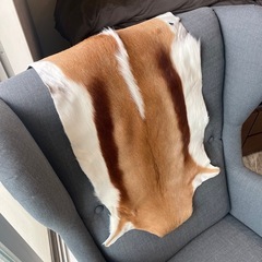 南アフリカ産　天然毛皮　ラグ　スプリングボックの画像